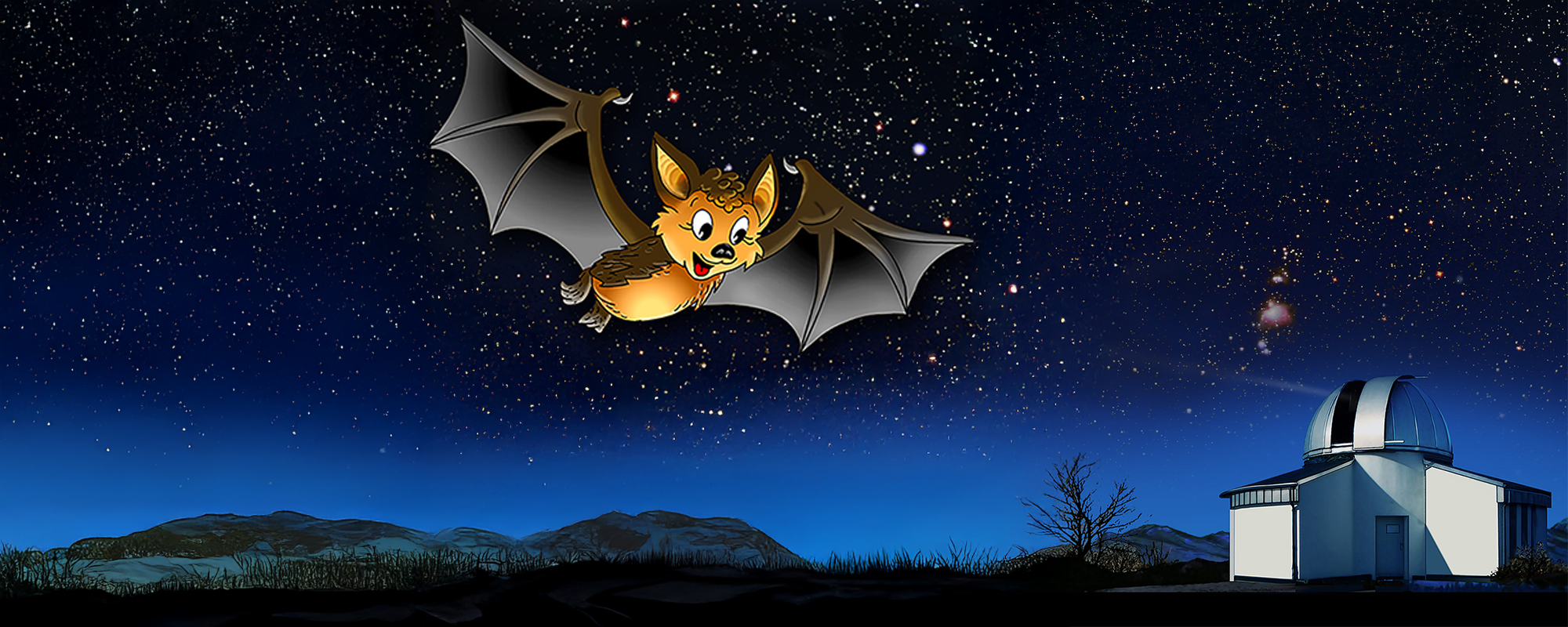 Bild zur Veranstaltung