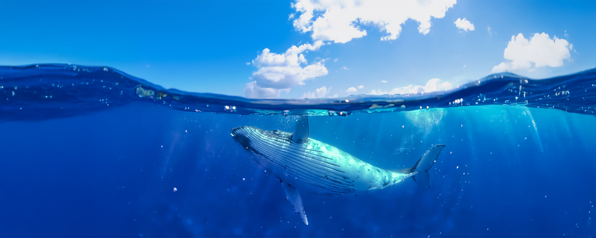 Bild zur Veranstaltung